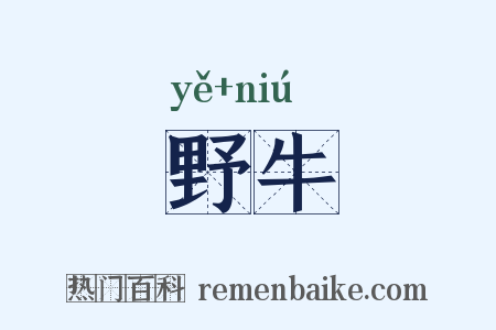 野牛是什么意思的图片
